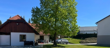 Damentrainingstag